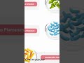 FemiCore Review 2026 | Is FemiCore Legit? Real Customer Reviews & Complaints