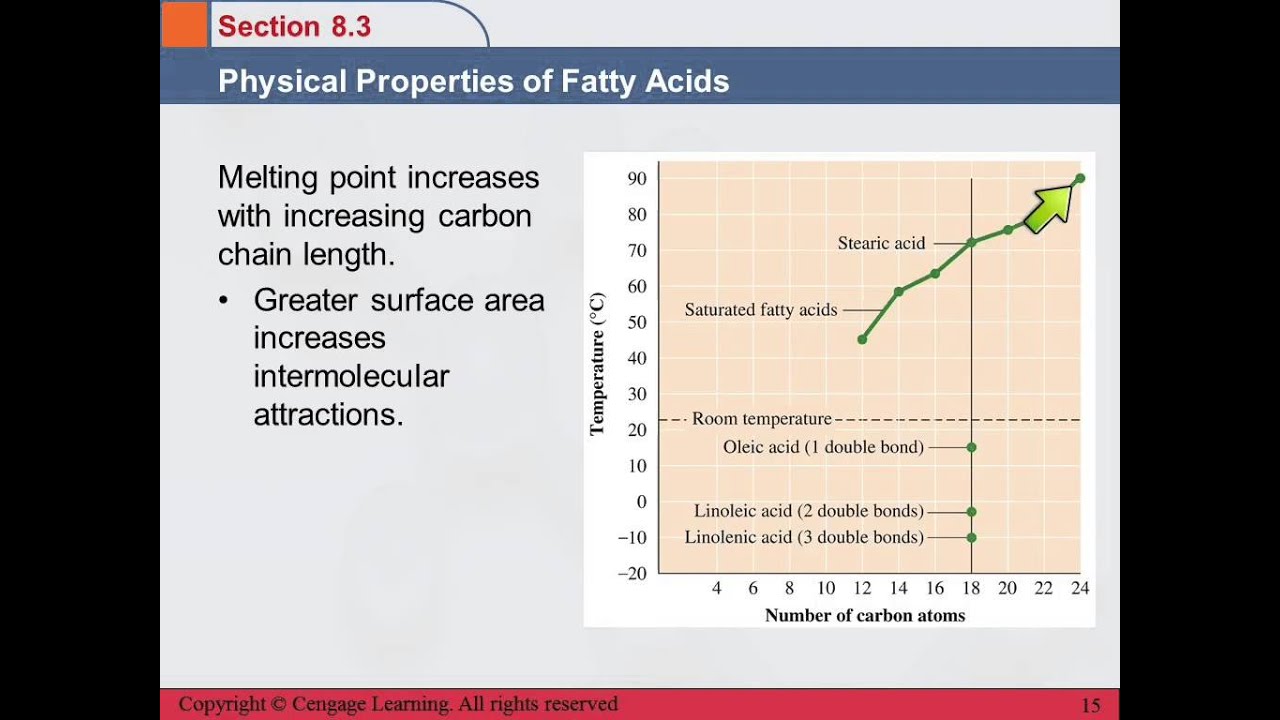 3B 8.3 Physical Properties of Fatty Acids YouTube