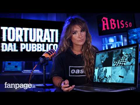 Paying to torture: I spent the weekend watching Fishtank, the most extreme reality show ever