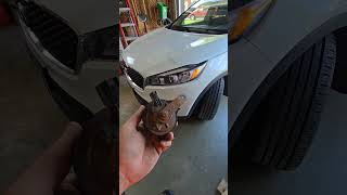 changed the low tone horn on the 2017 Kia Sorento #diy #carrepair #kia