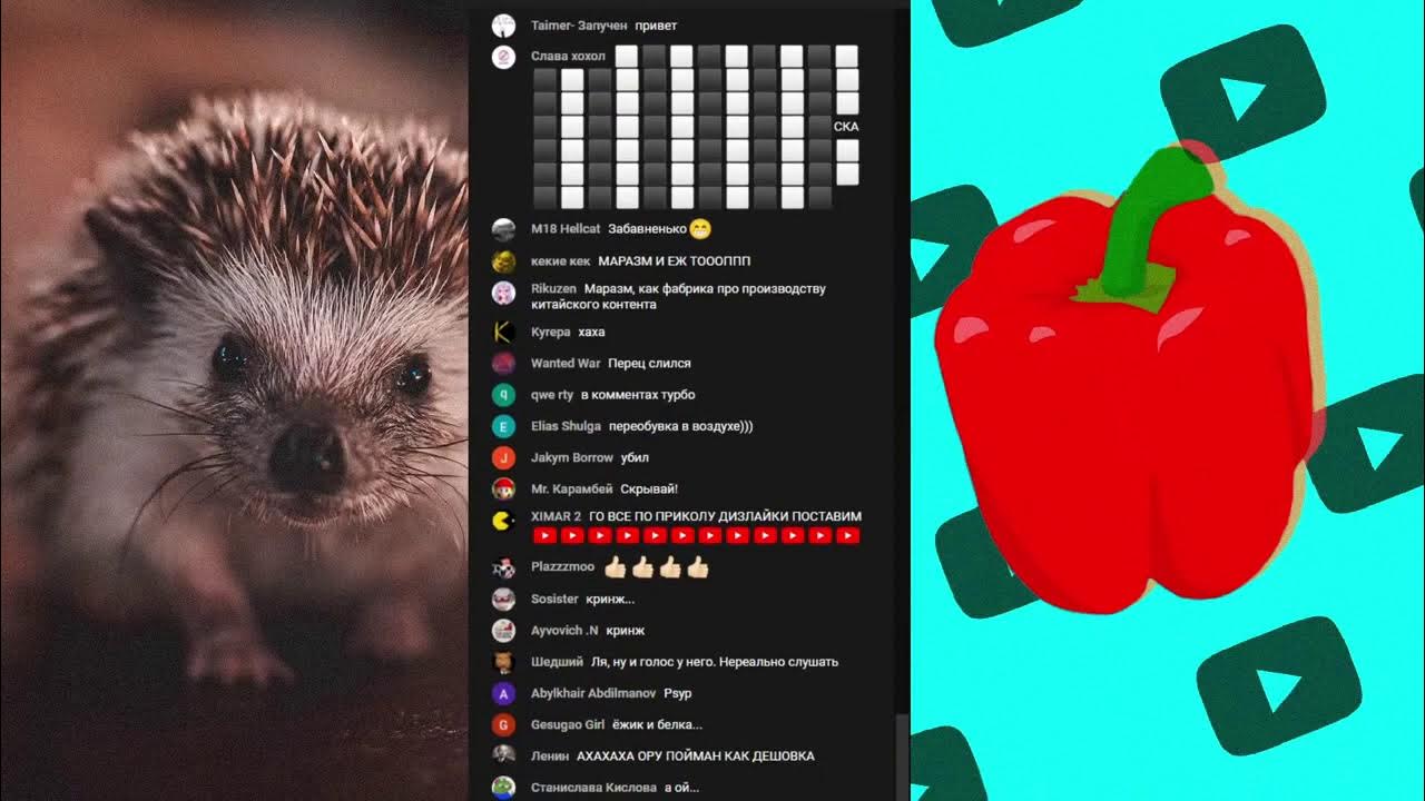 Ёжик ест пирог. Ежик. Ёжик лисичкин ёжик лисичкин. Сибирский ежик растение. Мордашка ежика.