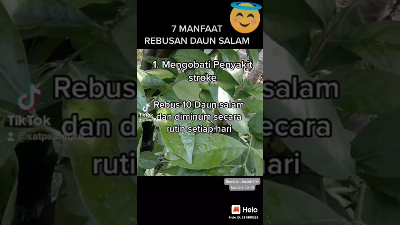 7 Manfaat Rebusan Daun salam 
