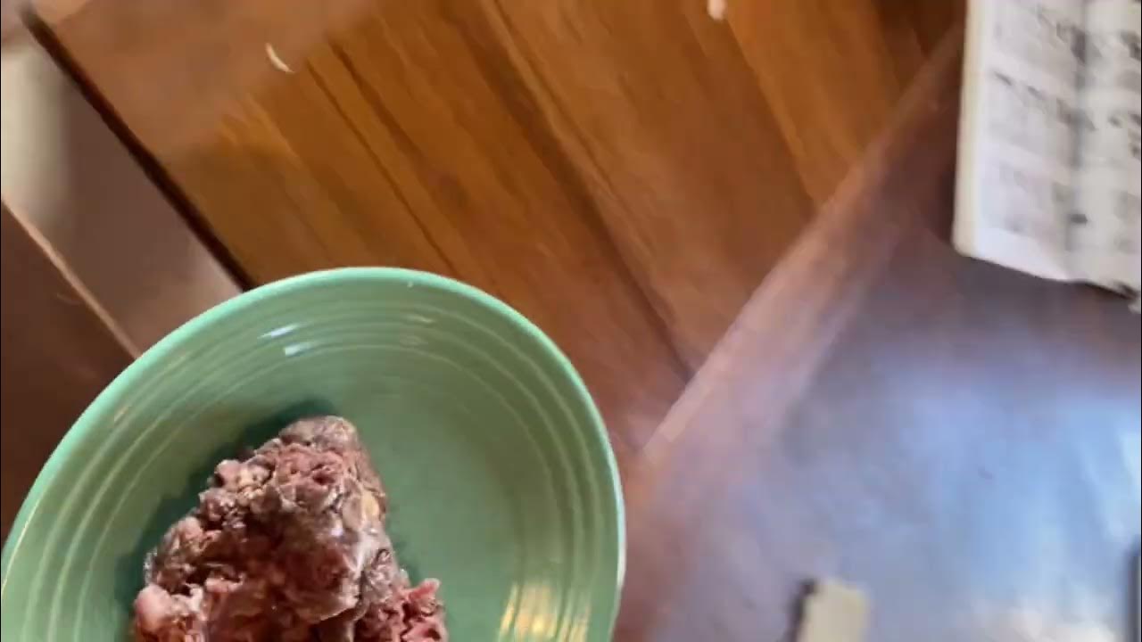Badger eating Creston Valley Meat YouTube