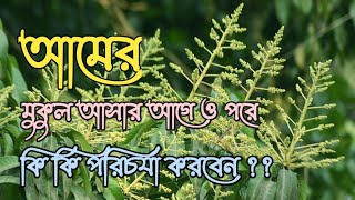 আমর মকল আসর আগ ও পর ক ক পরচরয করবন? আম গছ ক ক কটনশক বযবহর করবন এব কখন করবন
