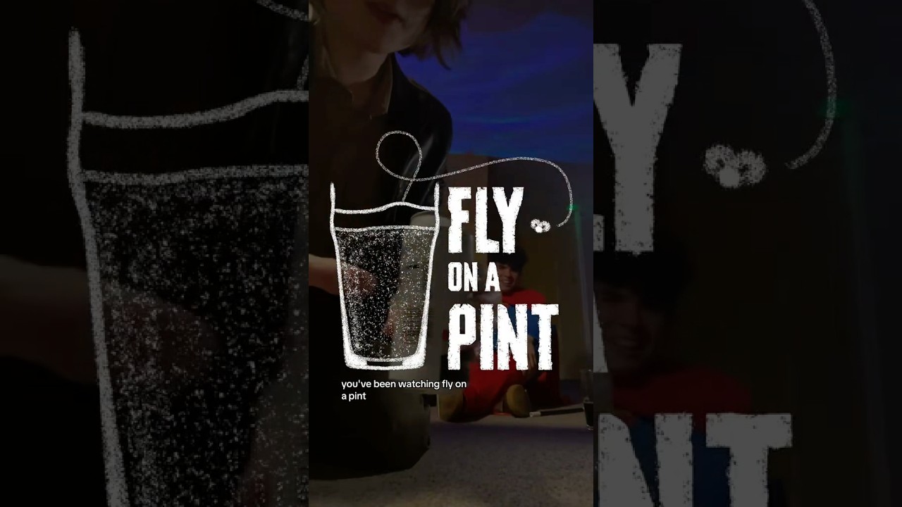 Fly on a Pint: Episode 04 #thedropjonnies #pub #beer