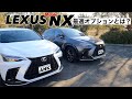 【最適】NXオーナー２人が選ぶオプション💥