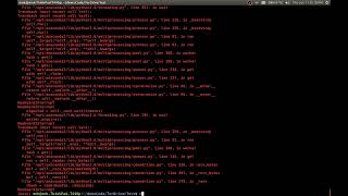 TorHatch Dictionary Attack Demo