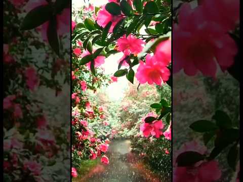 ГРУППА ТЭЛИКА-СНЕГ #shorts #музыка #клипы #попрок