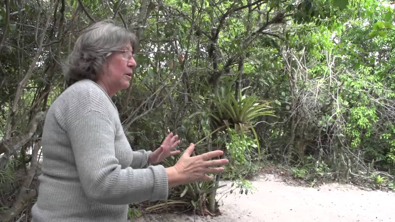 Saquarema - Sambaqui da Beirada