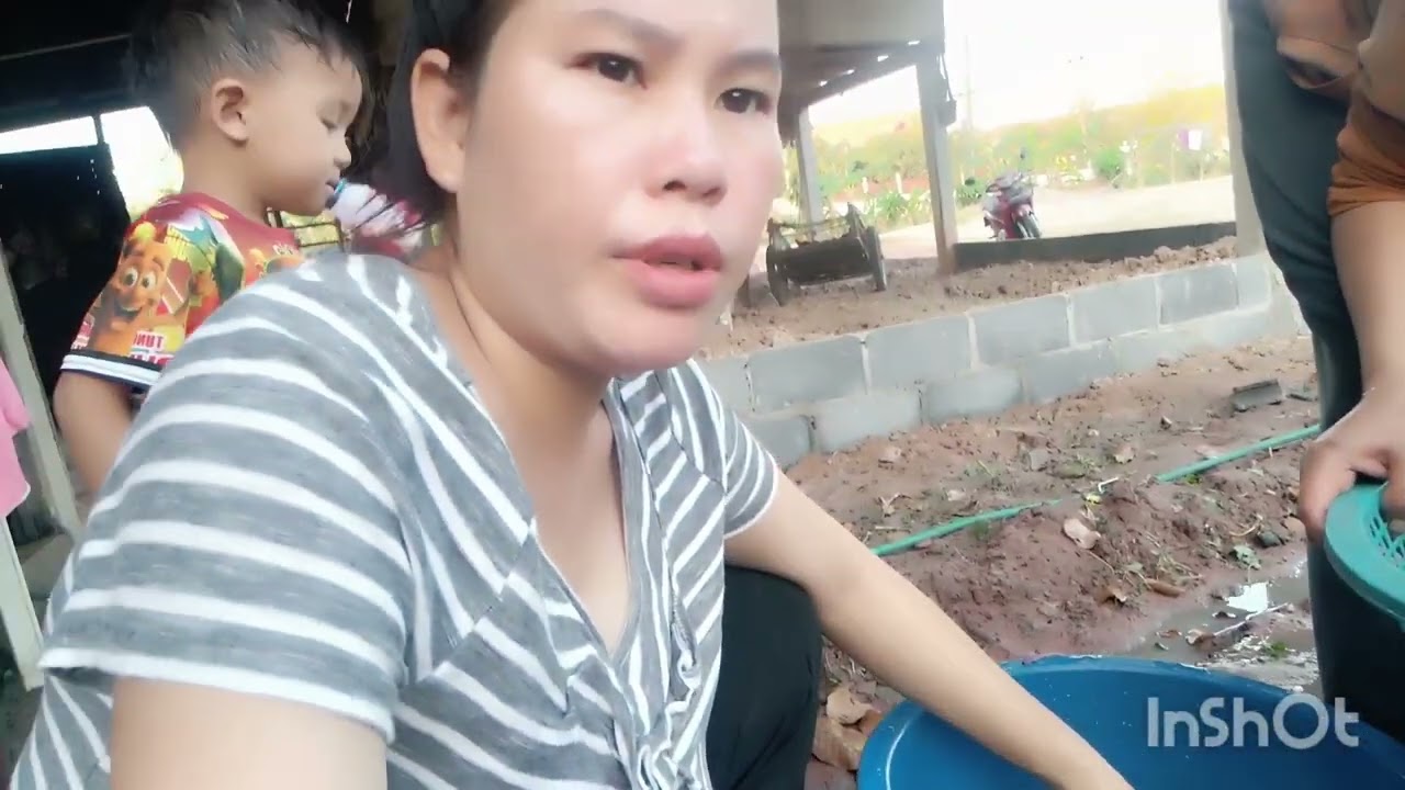 #สบายดีร่างเห็ดเผืองแกงเห็ดเผือก