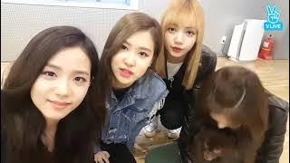 [ALL SUB] BLACKPINK VLIVE 2017.03.31