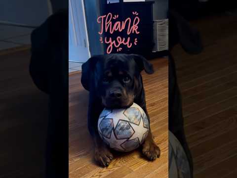 Stranger drops off