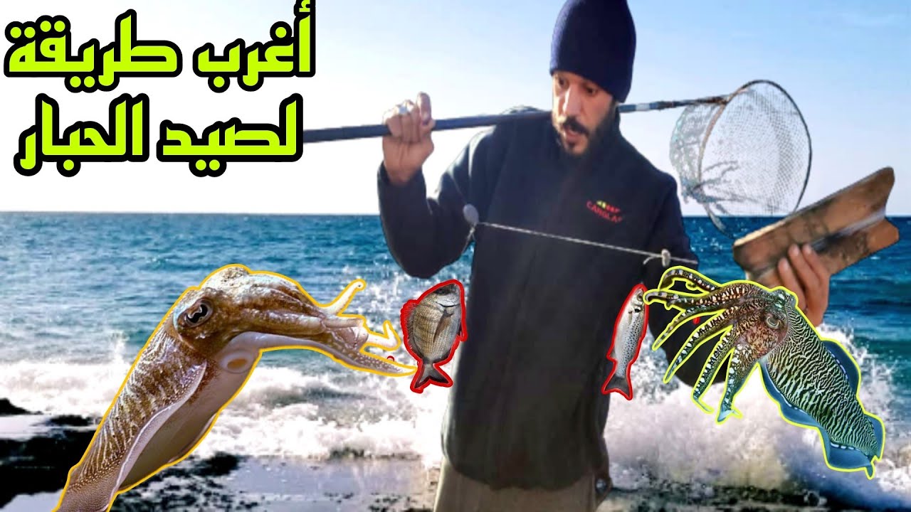 أغرب طريقة في العالم لصيد سمك الحبار أو السيبيا