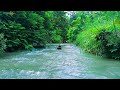 Healing Nature Sounds for Sleep – Soothing Running Water for Better Sleep