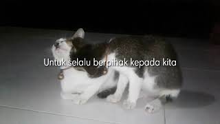 Slank - Foto didalam dompetmu (History WA)