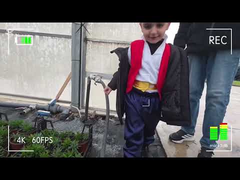 POYRAZ ELIF