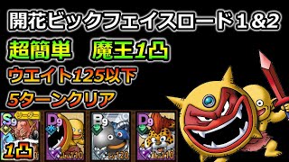 【ドラクエタクト】開花ビッグフェイスロード2　ウエイト125以下　開花ビッグフェイスロード1ウエイト150以下