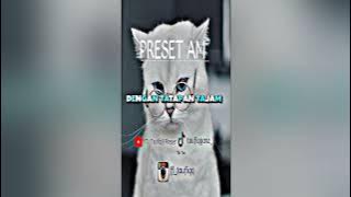 𝙋𝙍𝙀𝙎𝙀𝙏 𝘼𝙇𝙄𝙂𝙃𝙏 𝙈𝙊𝙏𝙄𝙊𝙉 || 𝘿𝙅 𝘽𝙊𝙔𝘽𝘼𝙉𝘿 𝙓 𝙅𝘼𝙉𝙂𝘼𝙉 𝘽𝙄𝙇𝘼𝙉𝙂 𝙈𝘼𝙈𝘼 || 𝘽𝙔 𝙏𝘼𝙐𝙁𝙄𝙌 || 𝙋𝙍𝙀𝙎𝙀𝙏🎟️