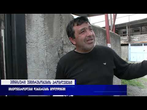 ეთნიკური უმცირესობების პრობლემები