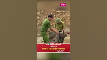 QUẢNG TRỊ THẢ 2 CÁ THỂ KHỈ VỀ MÔI TRƯỜNG