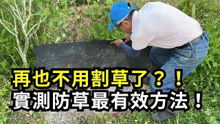 再也不用割草了?!實測防雜草最有效方法，翻開嚇一跳，6個月沒長草，比割草還省力！農民最常用的防雜草資材有效嗎？哪種資材效果最好？| 阿星種植