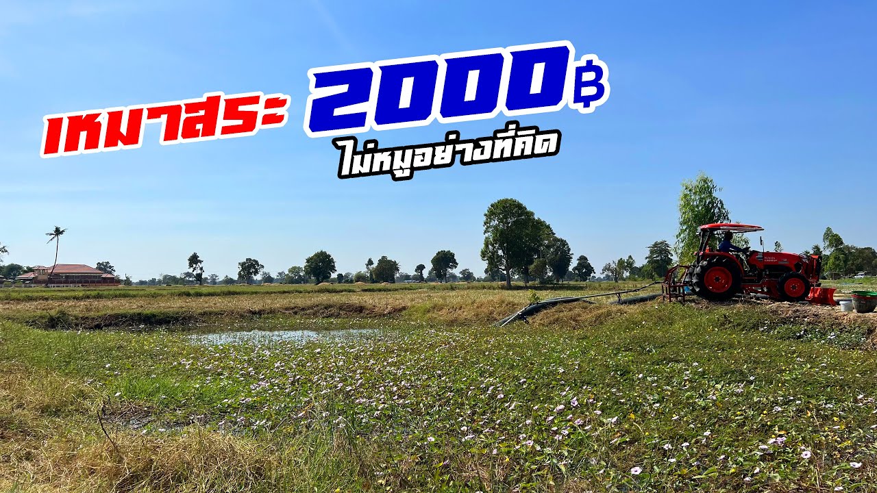 เหมาสระ 2,000 ไม่หมูอย่างที่คิด ลุ้นจะคุ้มไหม? 3 ธันวาคม 2564 Ep.2