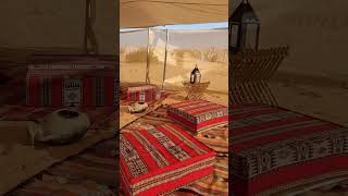 Helping out in the Sahara #foryou #travel #tunisia #backpacking #vegan