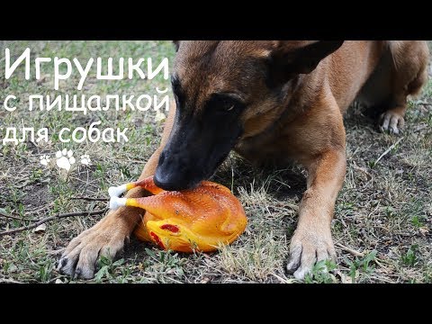 Сравнение четырёх виниловых игрушек фирм Trixie и Croci