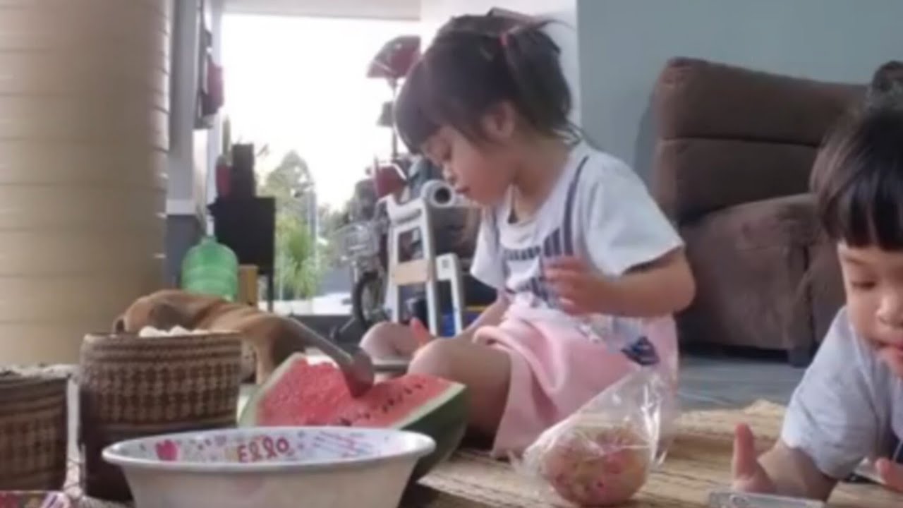 ต้าวแฝดกลับมาถึงบ้านแล้ว #ลูกของแอนบอย 