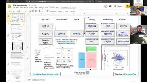 R-Ladies Tunis (English) - Introduction to RNA-seq workshop animated by Dr. Michael Love