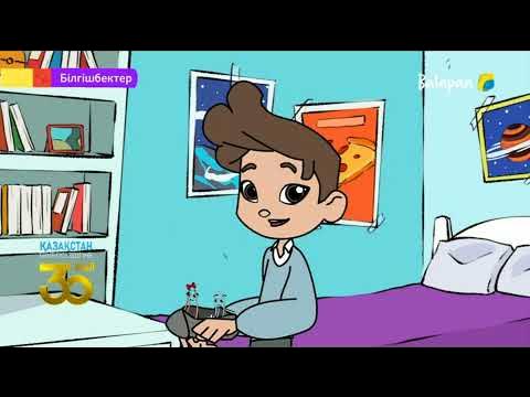 Анасы ұлының порносын желіде жуады