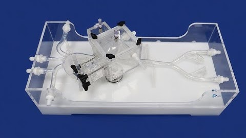 Transcatheter Aortic Valves Replaceable | TAVR Simulator