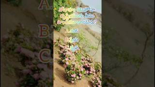 Bible Quiz #jesus #shorts #ytshorts #youtubeshorts
