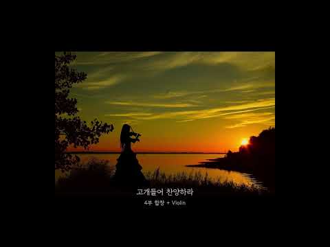 고개들어 찬양하라 (Violin 반주) - STEVE FRY