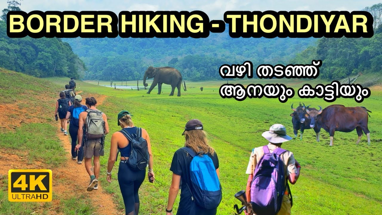 ട്രക്കിങ്ങിൽ തൊട്ടുമുന്നിൽ ആനയും കാട്ടിയും | Border Hiking - Thondiyar | Periyar Tiger Reserve