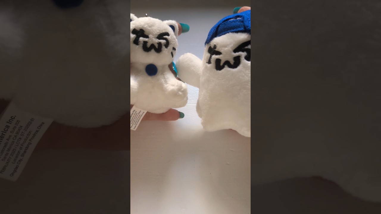TWS Plush Keyring UNBOXING #unboxing #tws #kpop #plush #ghost #cat