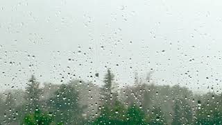 ThronbirdRay - Rainy Dreams