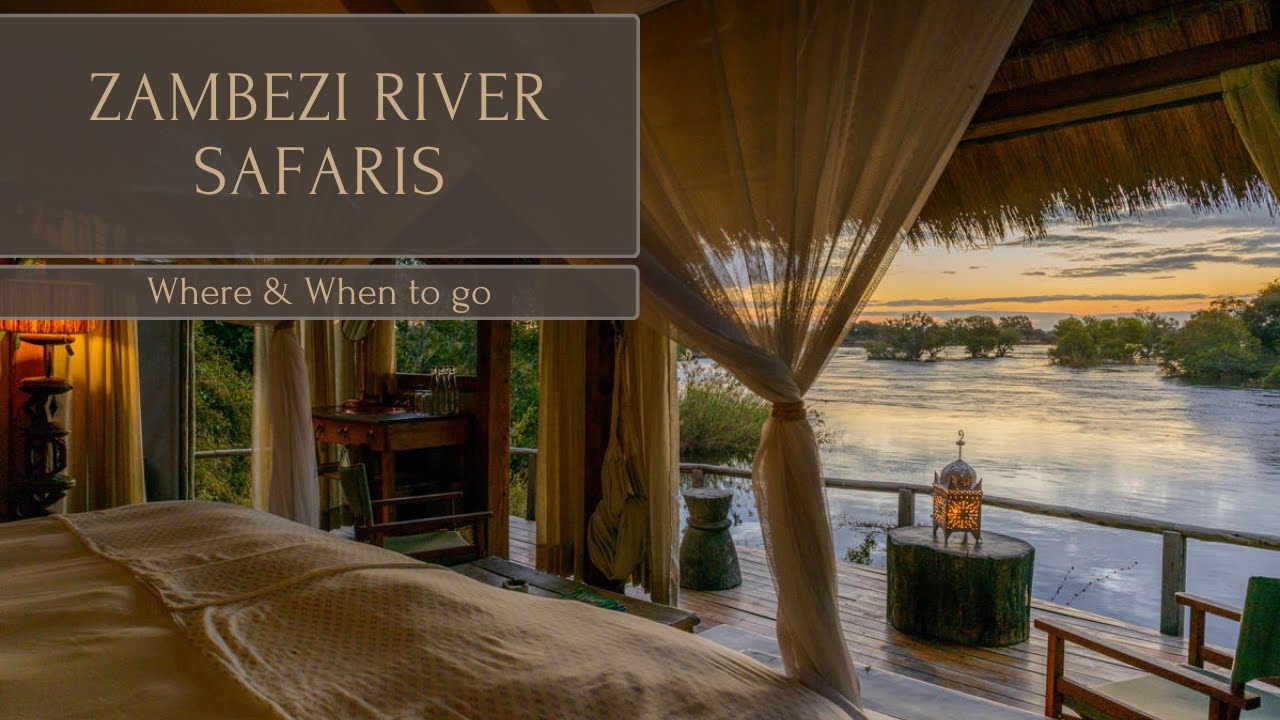 𝐙𝐚𝐦𝐛𝐞𝐳𝐢 𝐑𝐢𝐯𝐞𝐫 𝐒𝐚𝐟𝐚𝐫𝐢𝐬 - 𝐖𝐡𝐞𝐫𝐞 & 𝐖𝐡𝐞𝐧 𝐭𝐨 𝐠𝐨