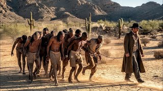 "Django Ki Kahani | Film/Movie Explained In English"