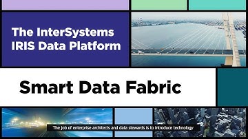 A Technical Overview of a Smart Data Fabric