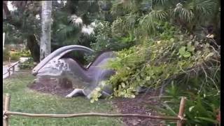 Mckee Botanical Gardens Part 2