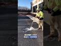 Cette route récupérer l’eau de pluie. #btp #construction #chantier #bâtiments