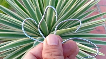 0913.260.614 zalo shop chuyên bán lưỡi câu nhấp cá lóc lưỡi câu cá quả,giá mềm giao hàng toàn quốc