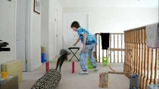 Cat Agility, Puffy morning course