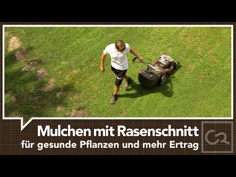 Video: Das Mulchen Von Pflanzen Und Pflanzungen Erhöht Den Ertrag