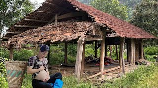 Download Lagu From Abandoned Dilapidated Hut to Dream Home – Single Mom Renovates an Abandoned House MP3 Download Lagu From Abandoned Dilapidated Hut to Dream Home – Single Mom Renovates an Abandoned House MP3
