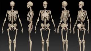 Skeleton Meditation: Spiritual Technology