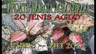 UPDATE HARGA AGLONEMA - PART 3 - MEI 2022 - EDISI TUNGGALAN
