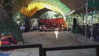 wid dinasty Live Stream