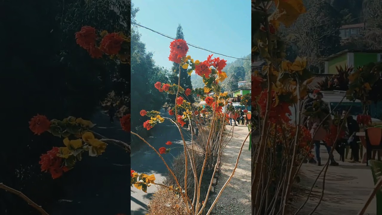 Mountain_diaries🤍 